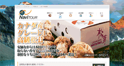 Desktop Screenshot of navitourca.com